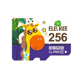 Class 10 Scandisk Memory Cards Micro