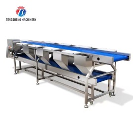 Stainless Steel Potato Apple Sorting