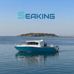 9.6m Fishing Boats Luxury Leisure Cabin 