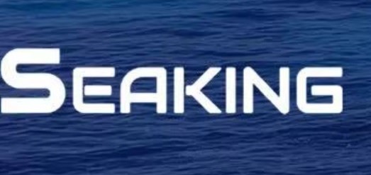 Shandong SeaKing Boat Technology Co., Ltd. logo