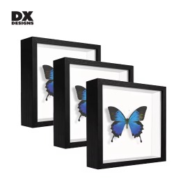 Shadow Box Frames Wooden Display Case